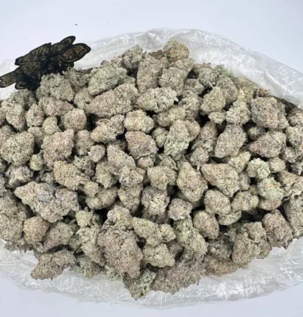 alien cookies strain